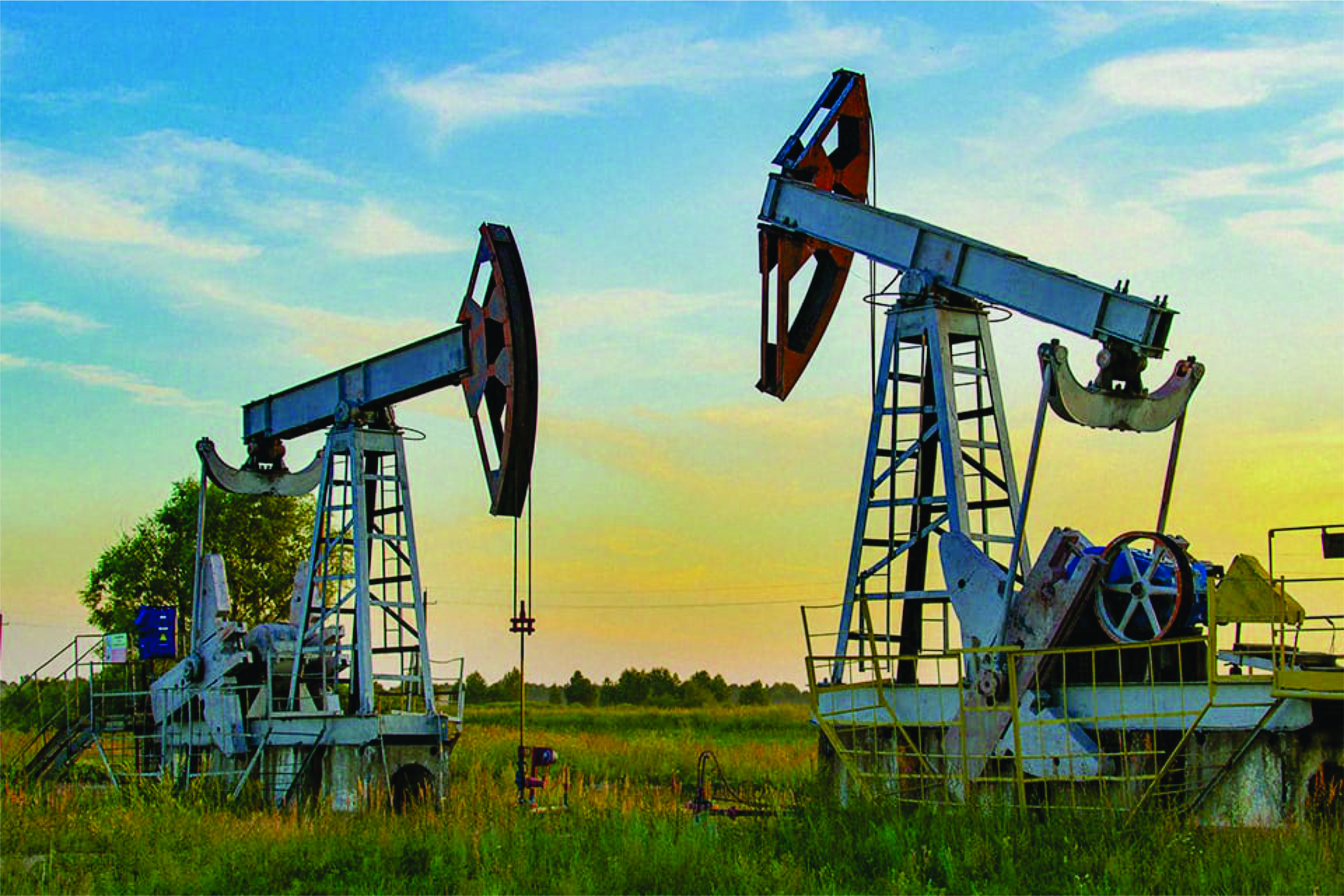 Biodiversity initiatives